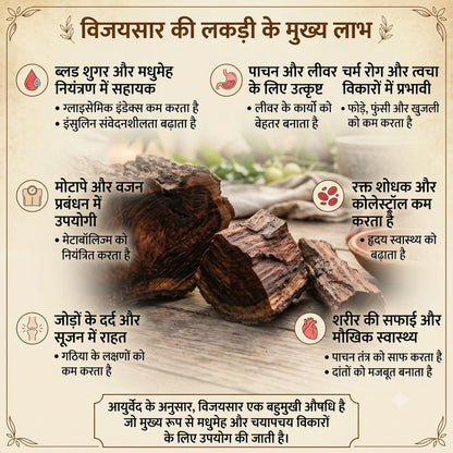 VijayPure™ Lab Certified Vijaysar Tumbler – Ayurvedic Way to Manage Sugar Levels
